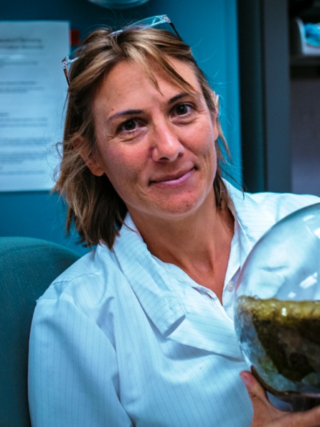 Fil:Hope Jahren UiO 2016.jpg