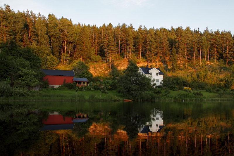 Fil:Tjernshaugen 5973.JPG