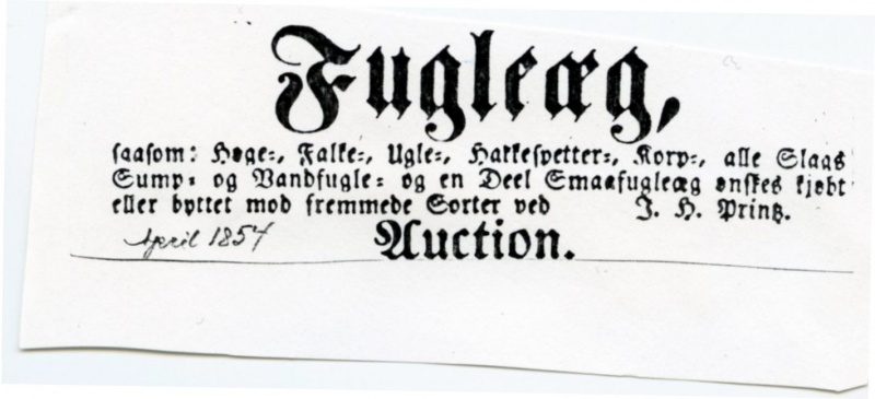 Fil:Fugleegg annonse 185404.jpg