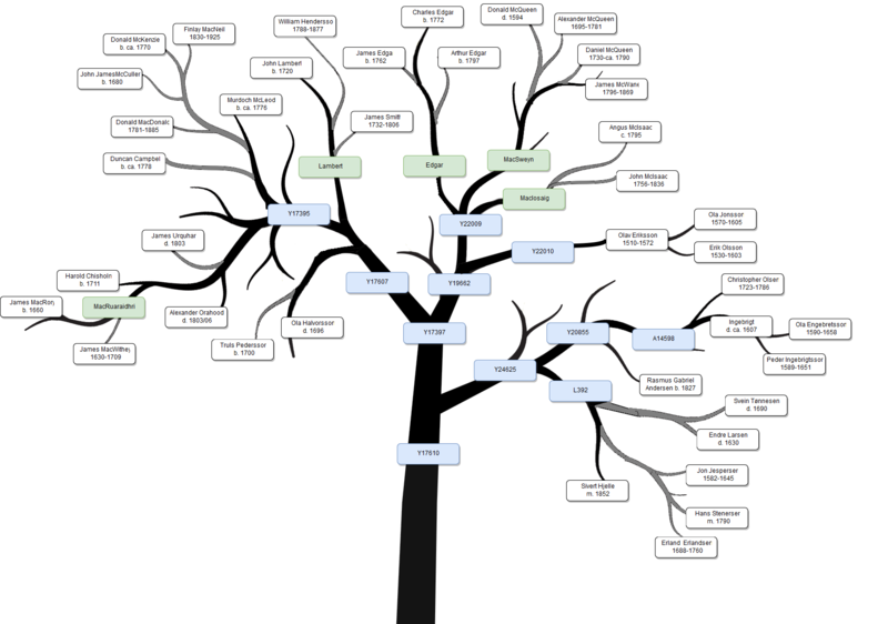 Fil:Y17610 tree.png
